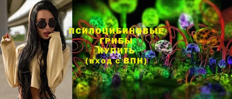 Галлюциногенные грибы Magic Shrooms  mega как войти  Дятьково 